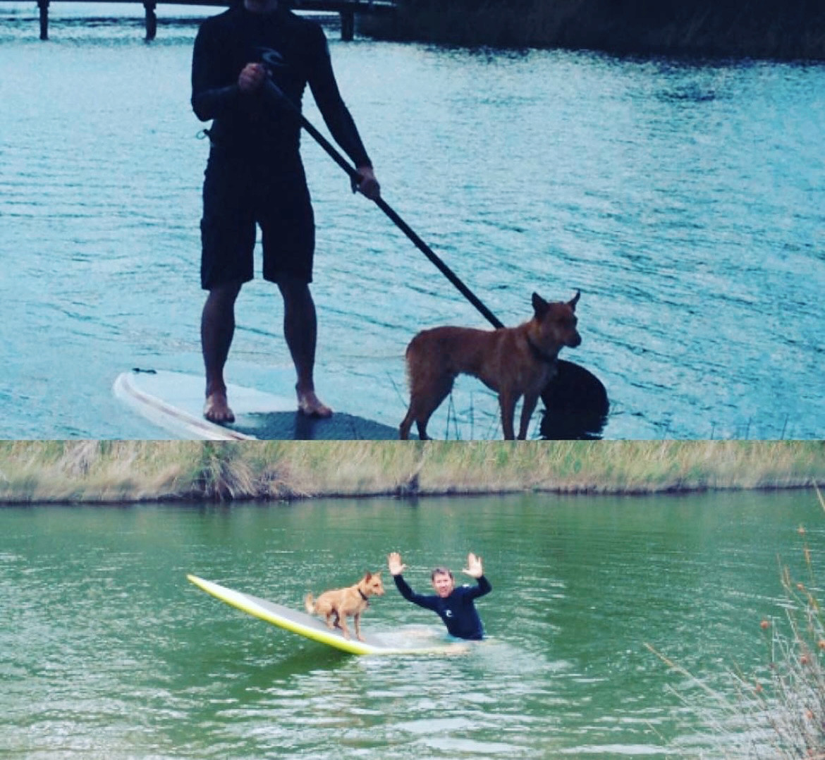 27. Rehabbing with Olliedog
